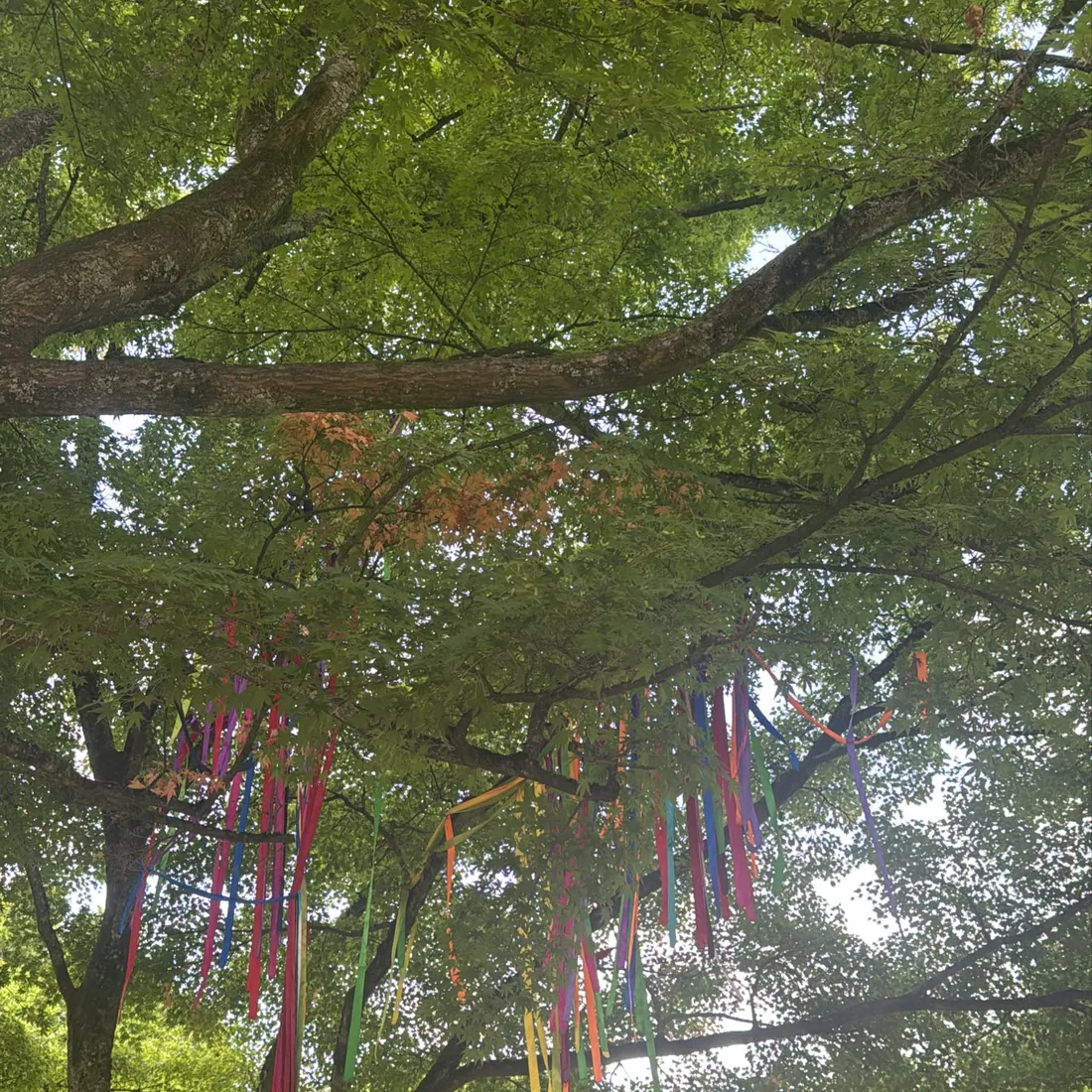 ATA Picnic 4