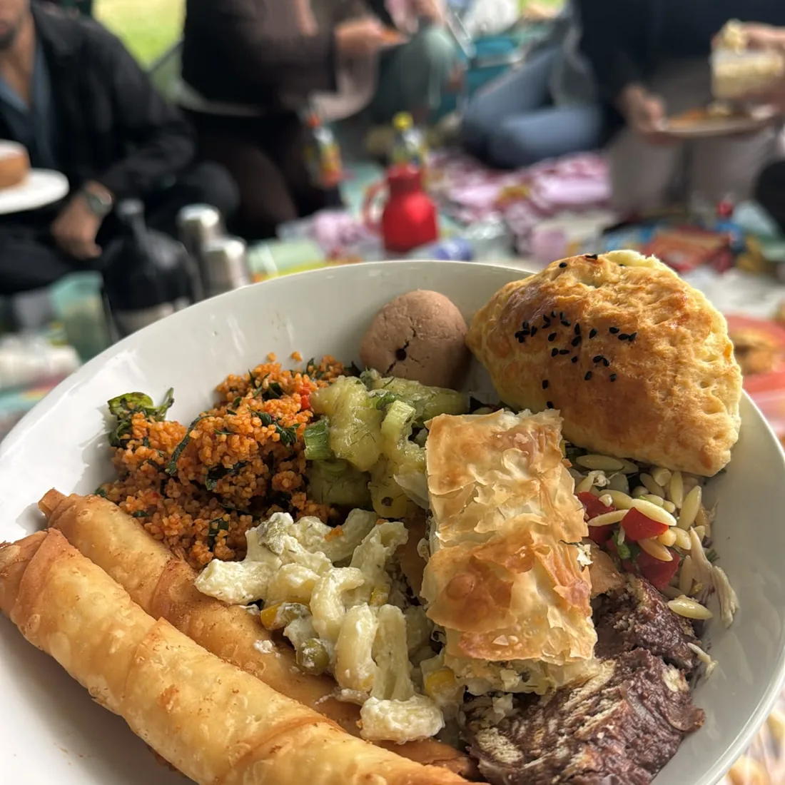 ATA Picnic 2